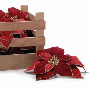 POINSETTIA BURGUNDY 17.5CM