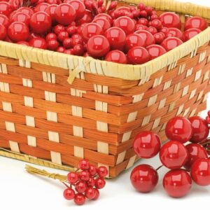 PICK RED BERRIE CLUSTER ASSTD