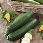 COURGETTE BLACKSTAR F1