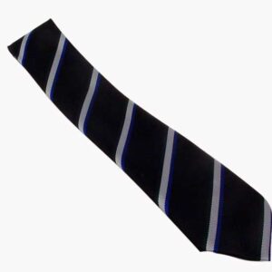 ICC SCHOOL TIE - One Size