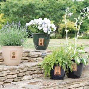 Planters & Pots